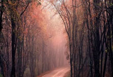 [CBA]常规赛10月22日：辽宁VS青岛.