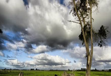 [大咖陪你看篮球]保罗-加索尔与科比的完美组合.