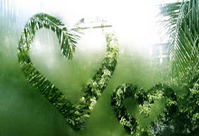 欧冠-拉斯帕多里制胜球 那不勒斯1-0柏林联合.