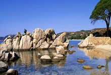 黑白体育：[冰雪]世界女子冰壶锦标赛半决赛：中国VS瑞士.